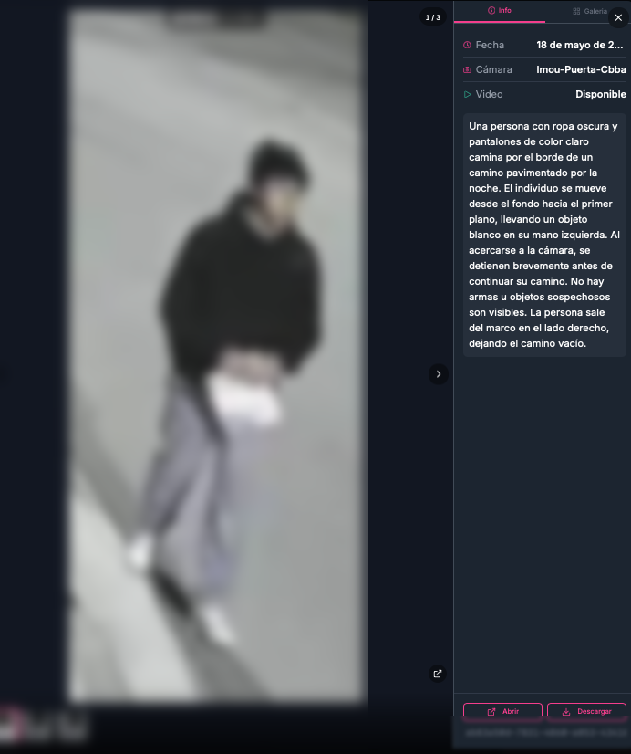 Descripción de evidencia en lenguaje natural